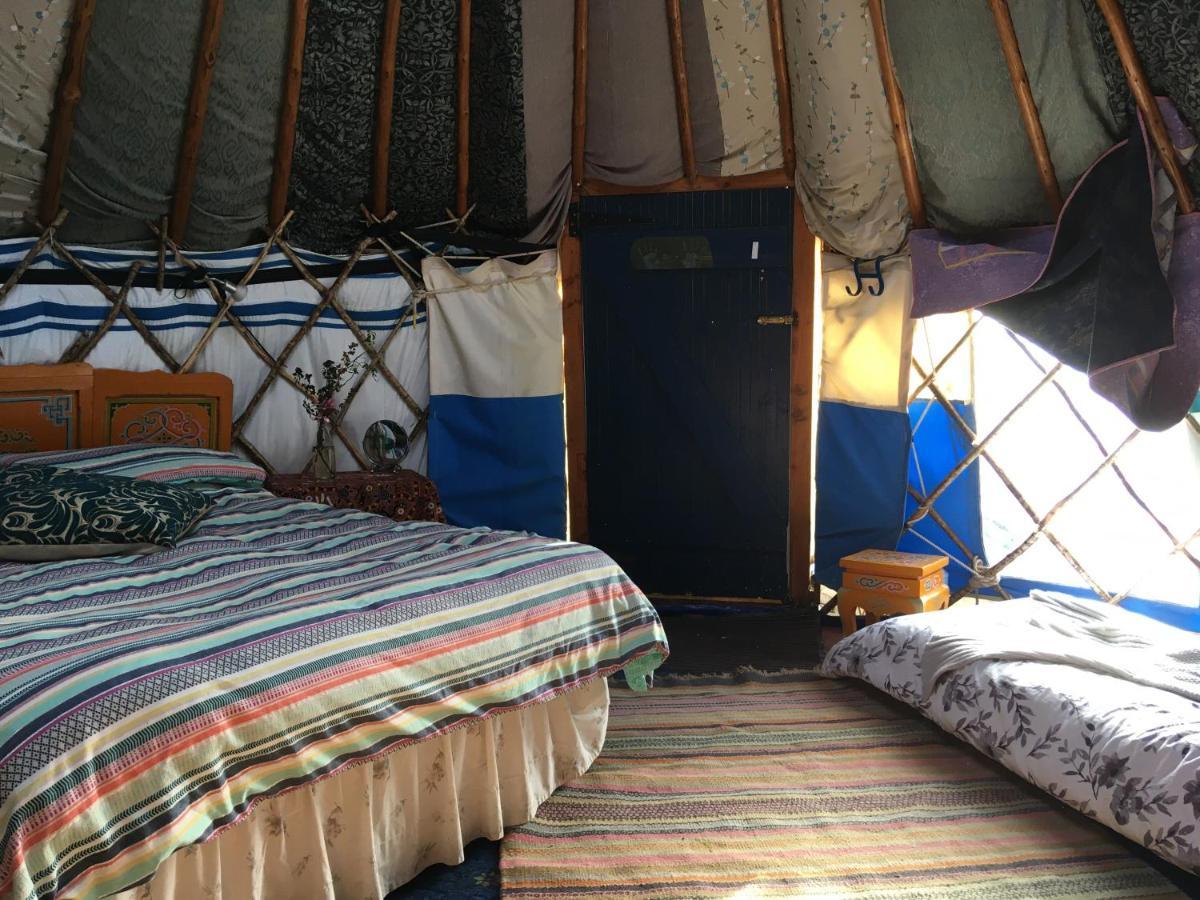 Inch Hideaway Eco Camping Whitegate  Екстериор снимка