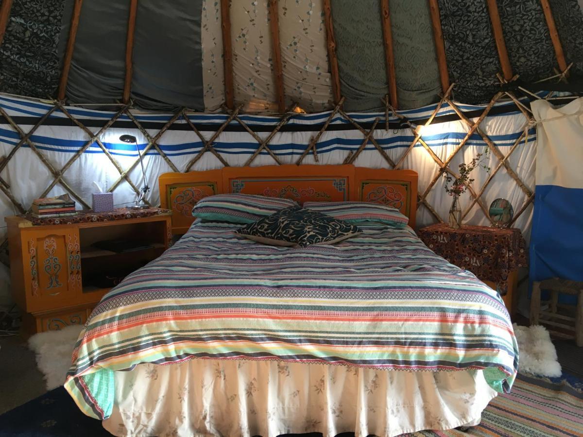 Inch Hideaway Eco Camping Whitegate  Екстериор снимка